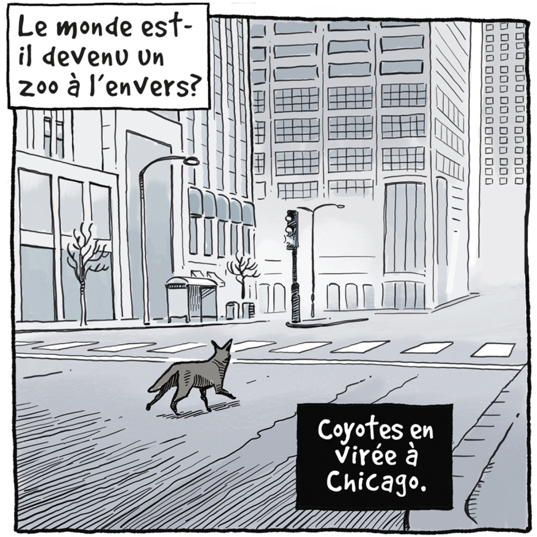 Couverture de Au cœur de la vague