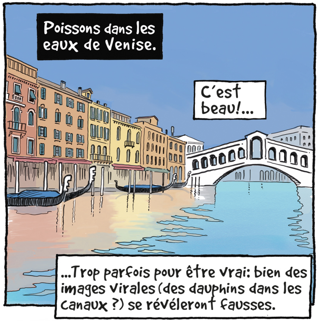 Couverture de Au cœur de la vague