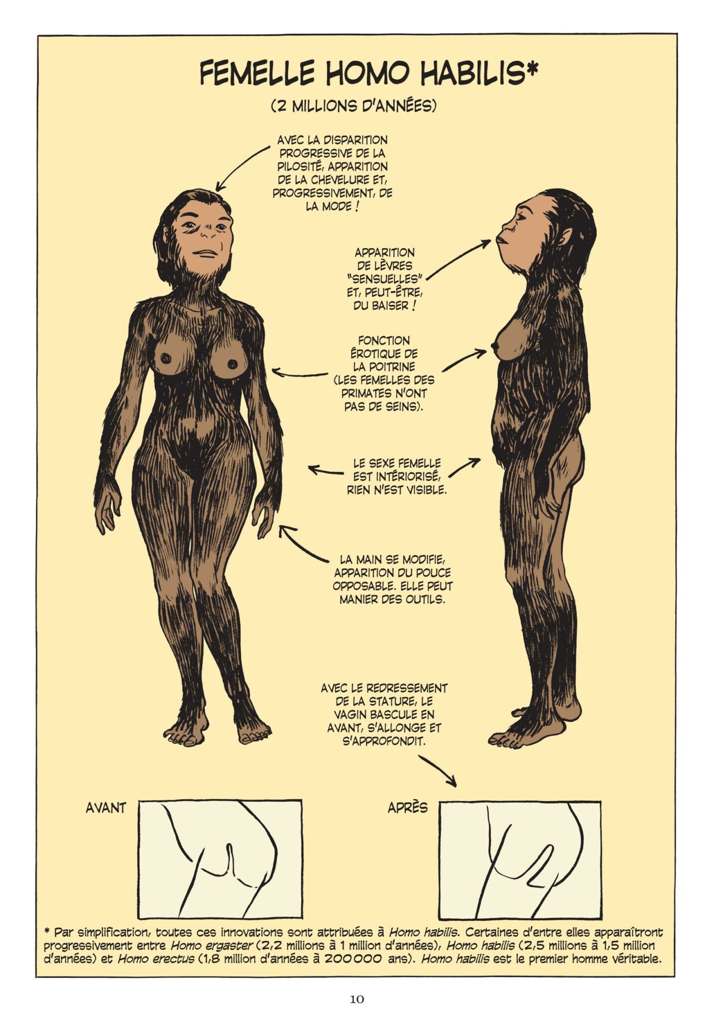 L’incroyable histoire du sexe – L’intégrale