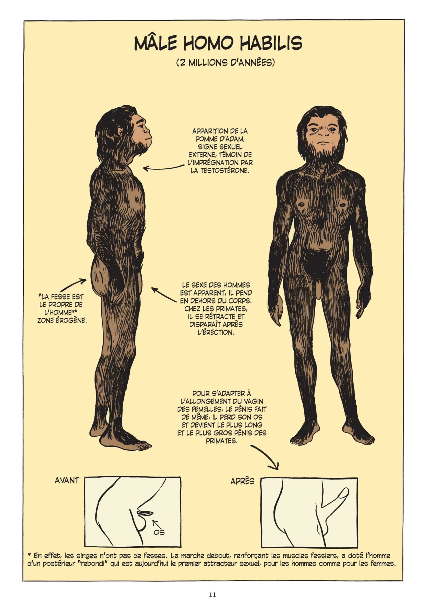 L’incroyable histoire du sexe – L’intégrale