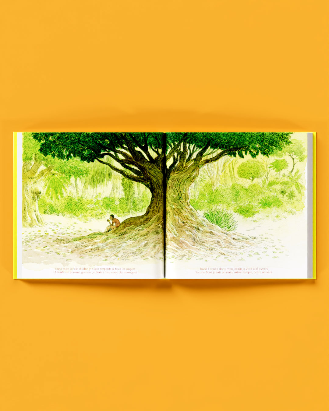 Couverture de L’ennui des après-midi sans fin