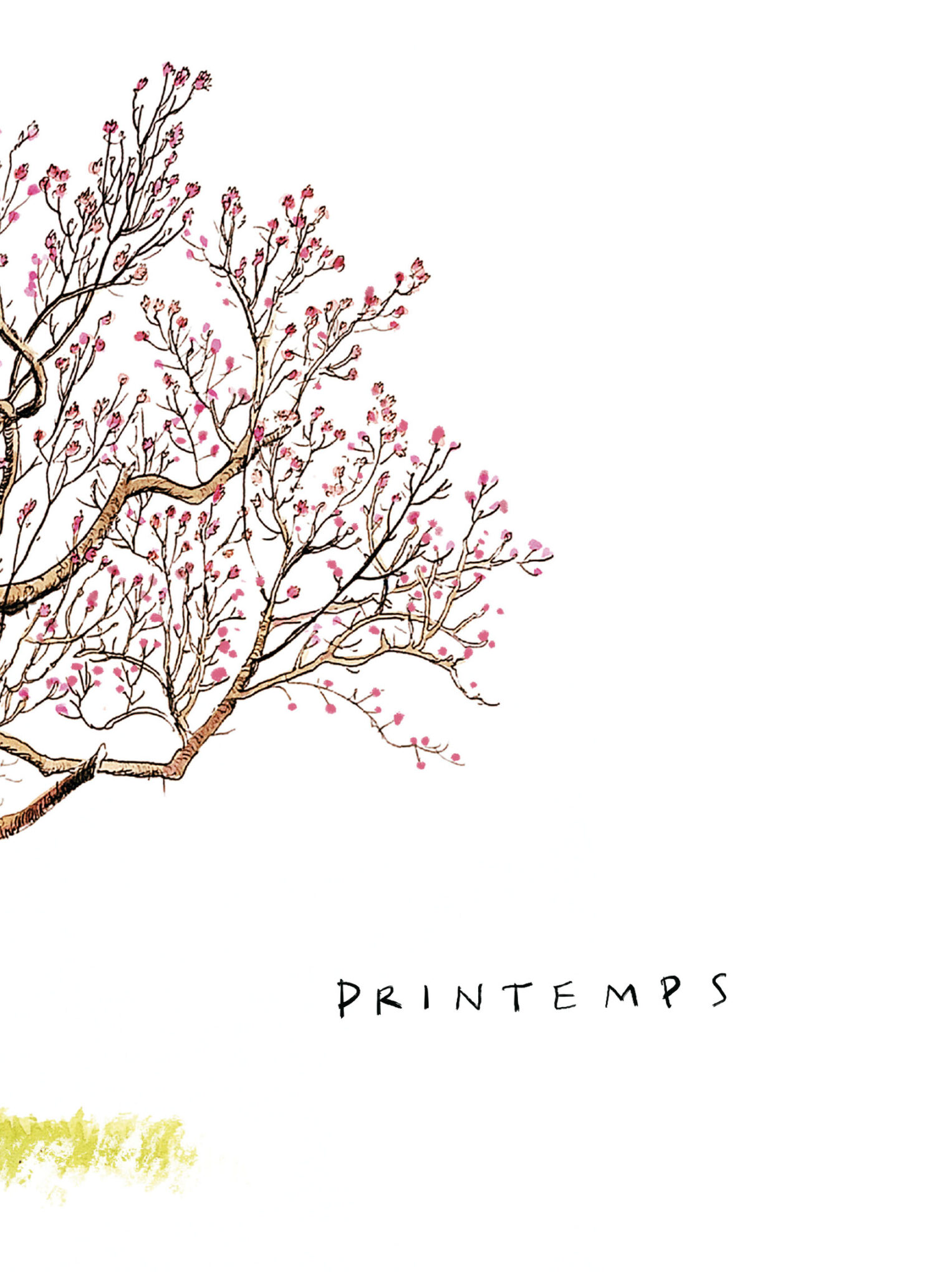 La vie secrète des arbres