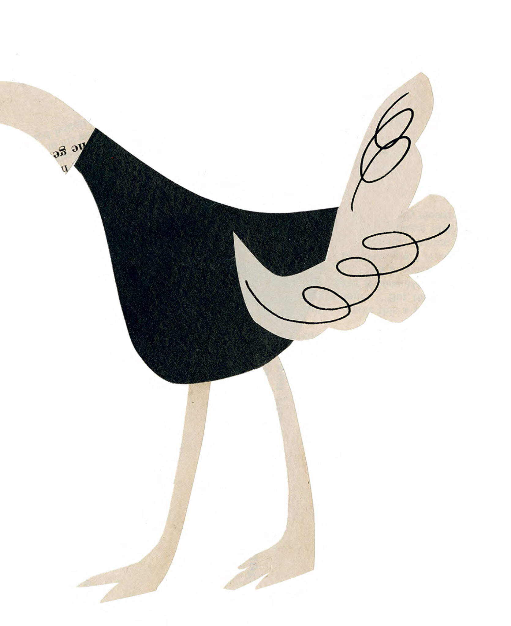 Drôles de questions