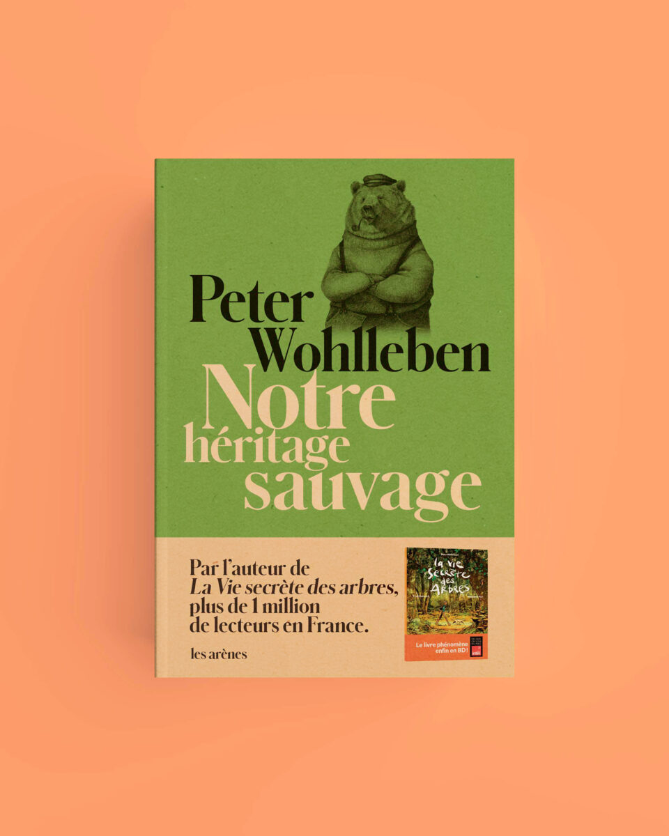 Couverture de Foreign rights