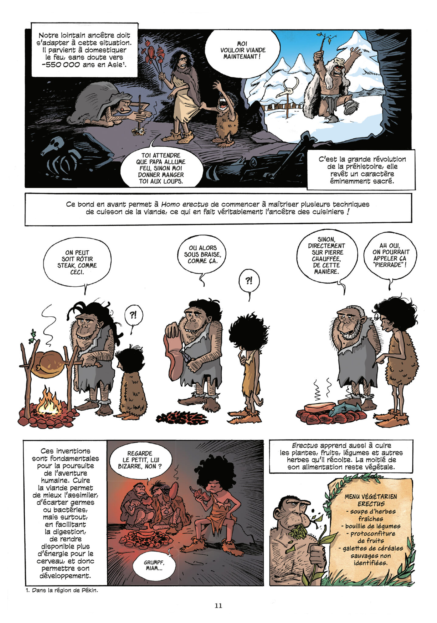 L’Incroyable histoire de la cuisine