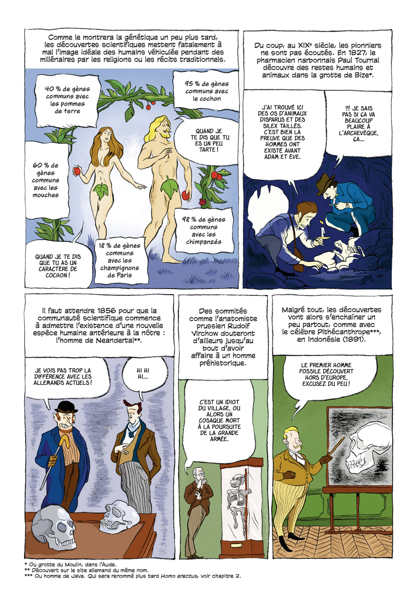 L’Incroyable Histoire de la Préhistoire