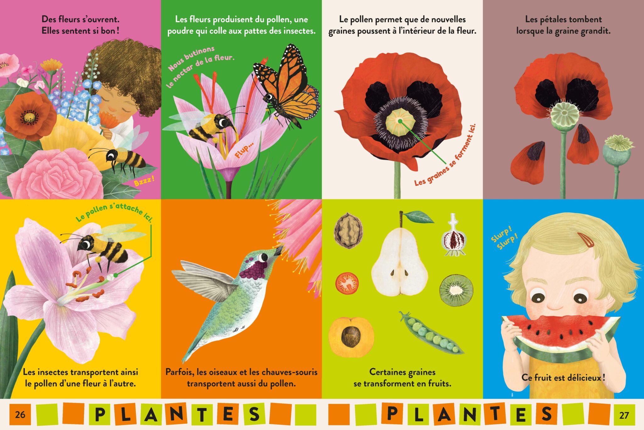 Bébé Encyclopédie