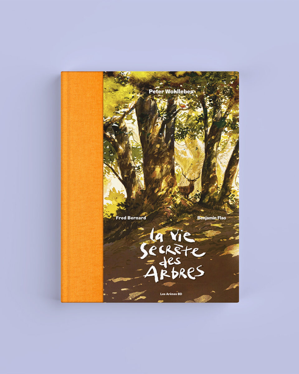 Couverture de La vie secrète des arbres