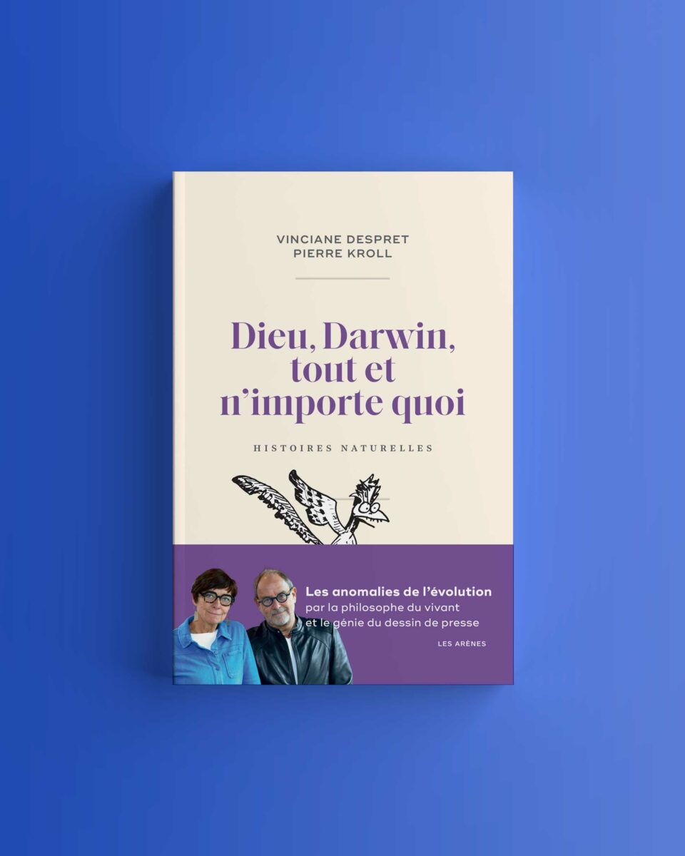 Couverture de Dieu, Darwin, tout et n’importe quoi