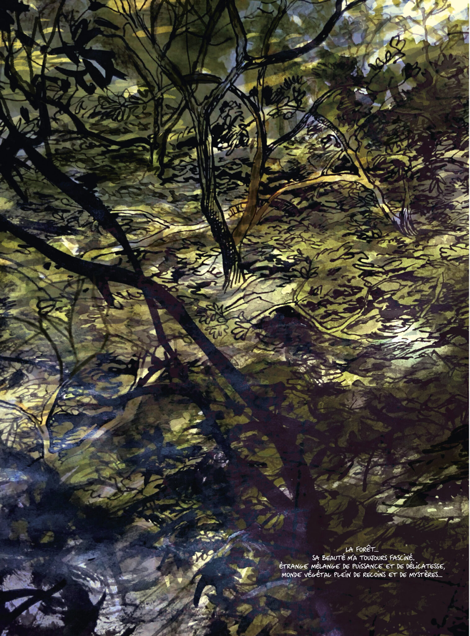 La vie secrète des arbres