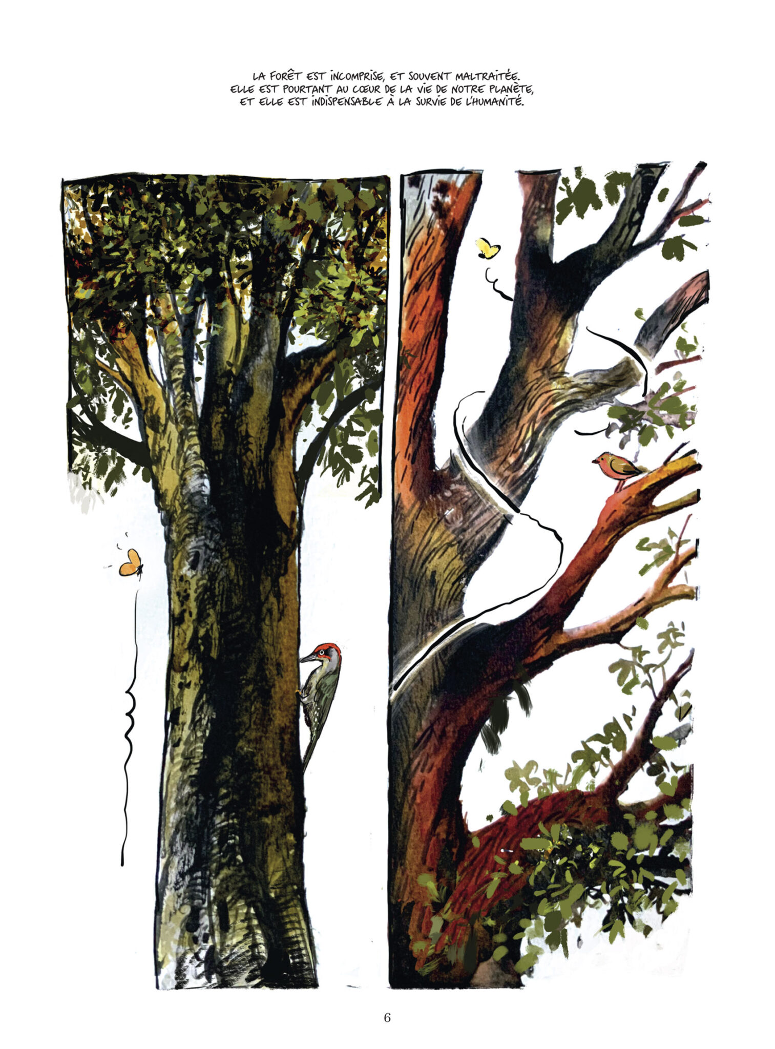 La vie secrète des arbres