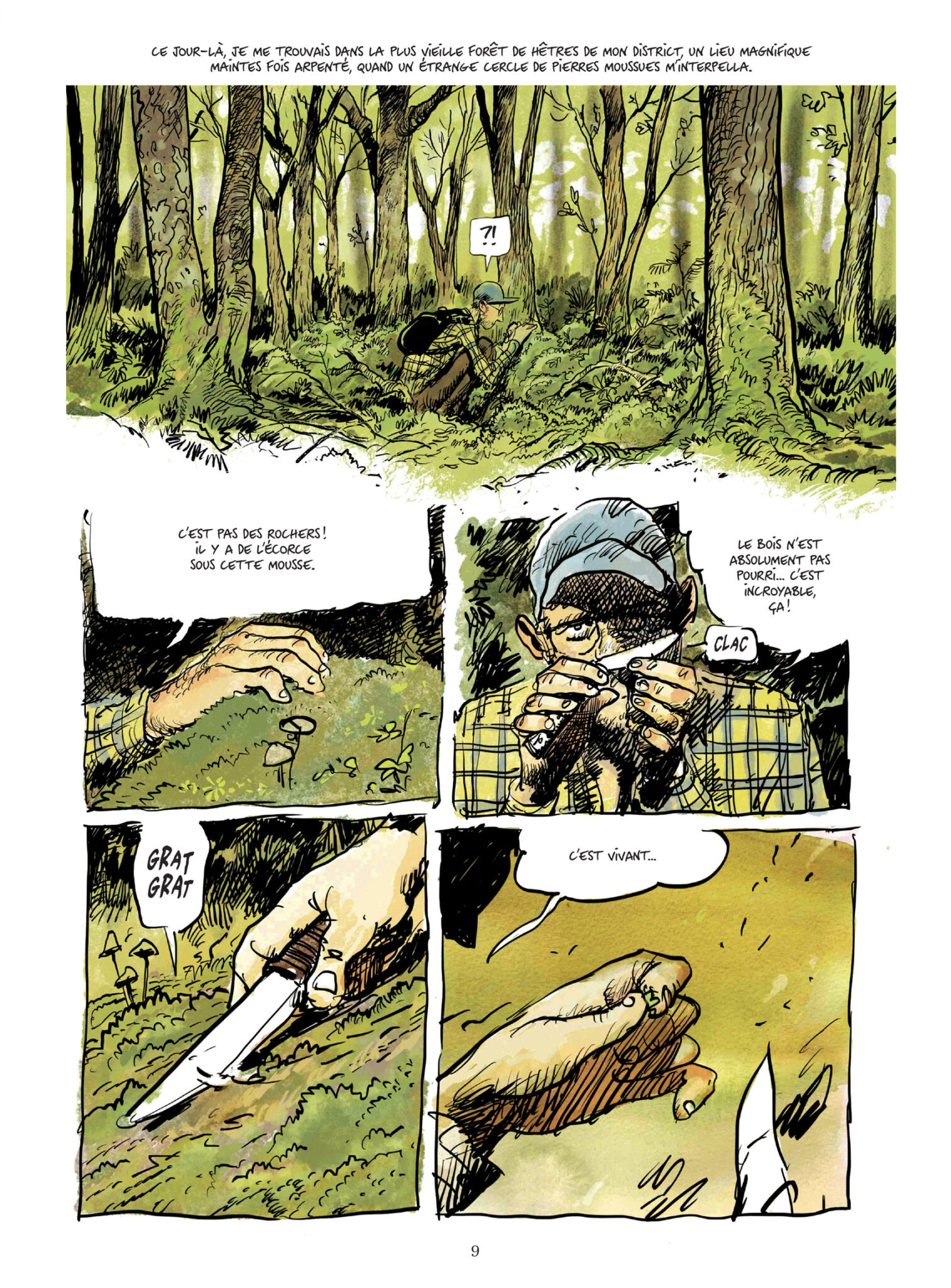 La vie secrète des arbres