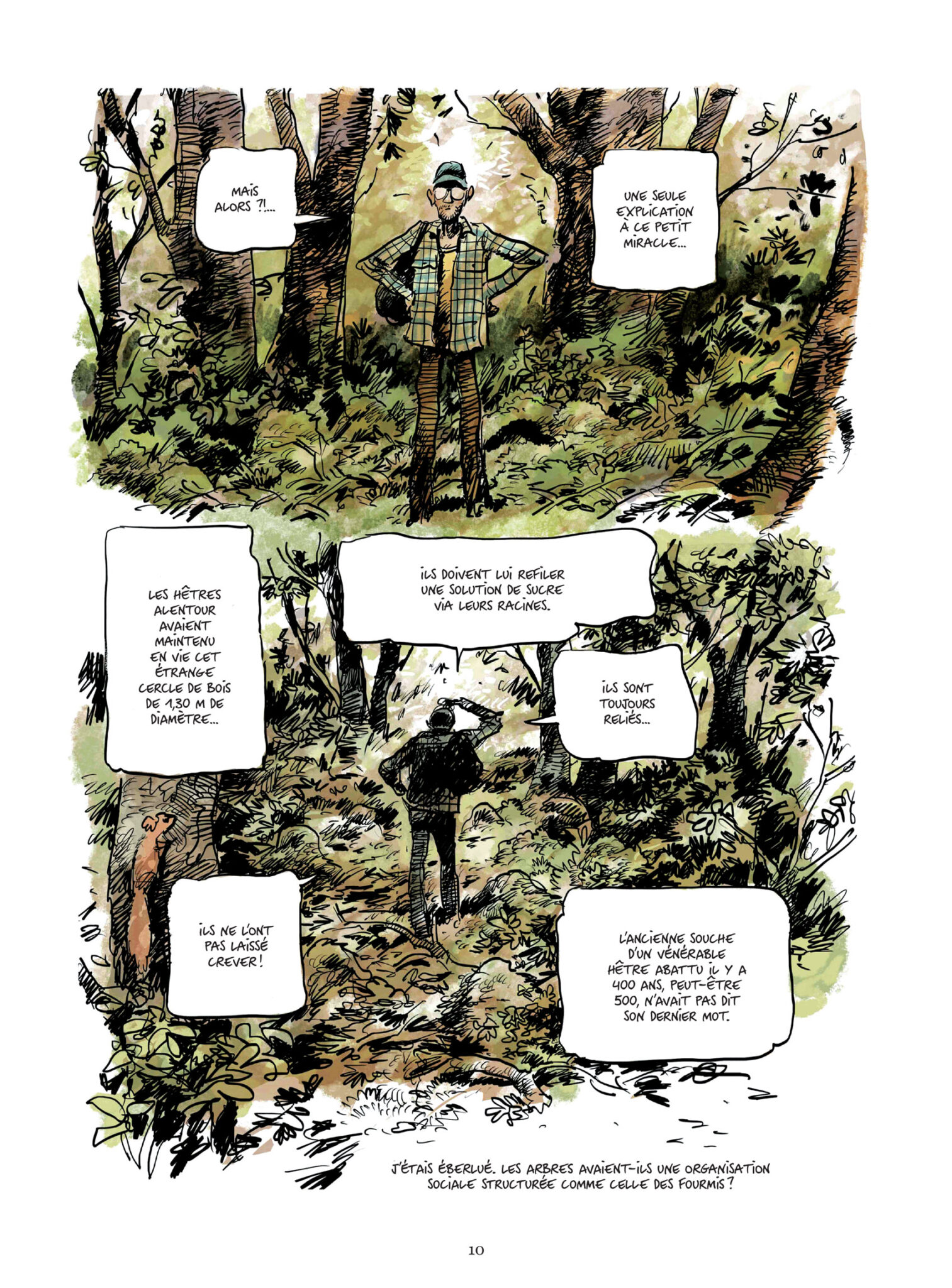 La vie secrète des arbres