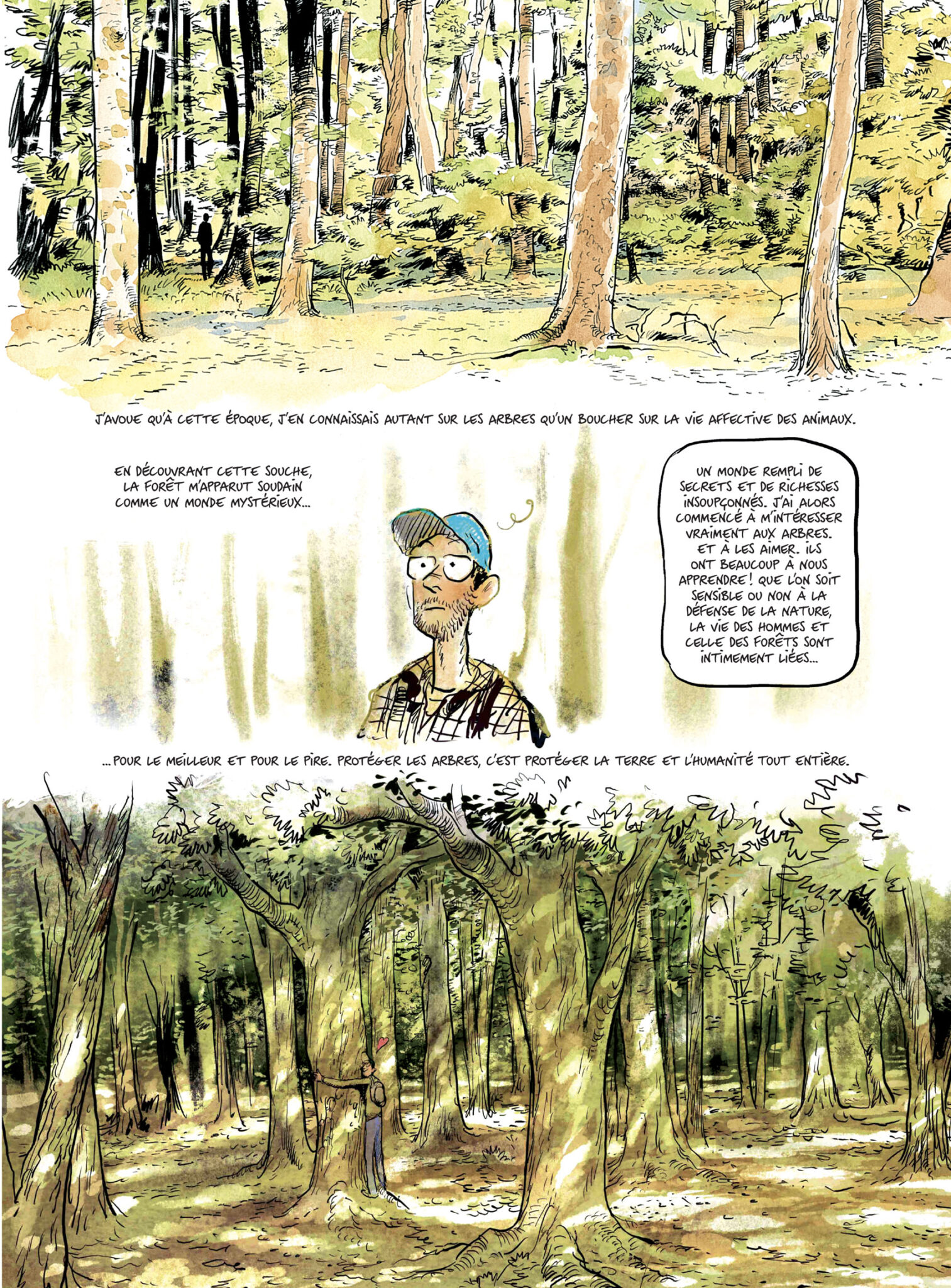 La vie secrète des arbres