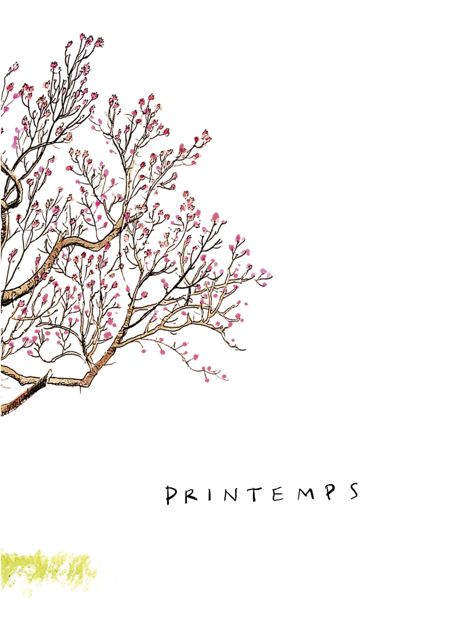 La vie secrète des arbres