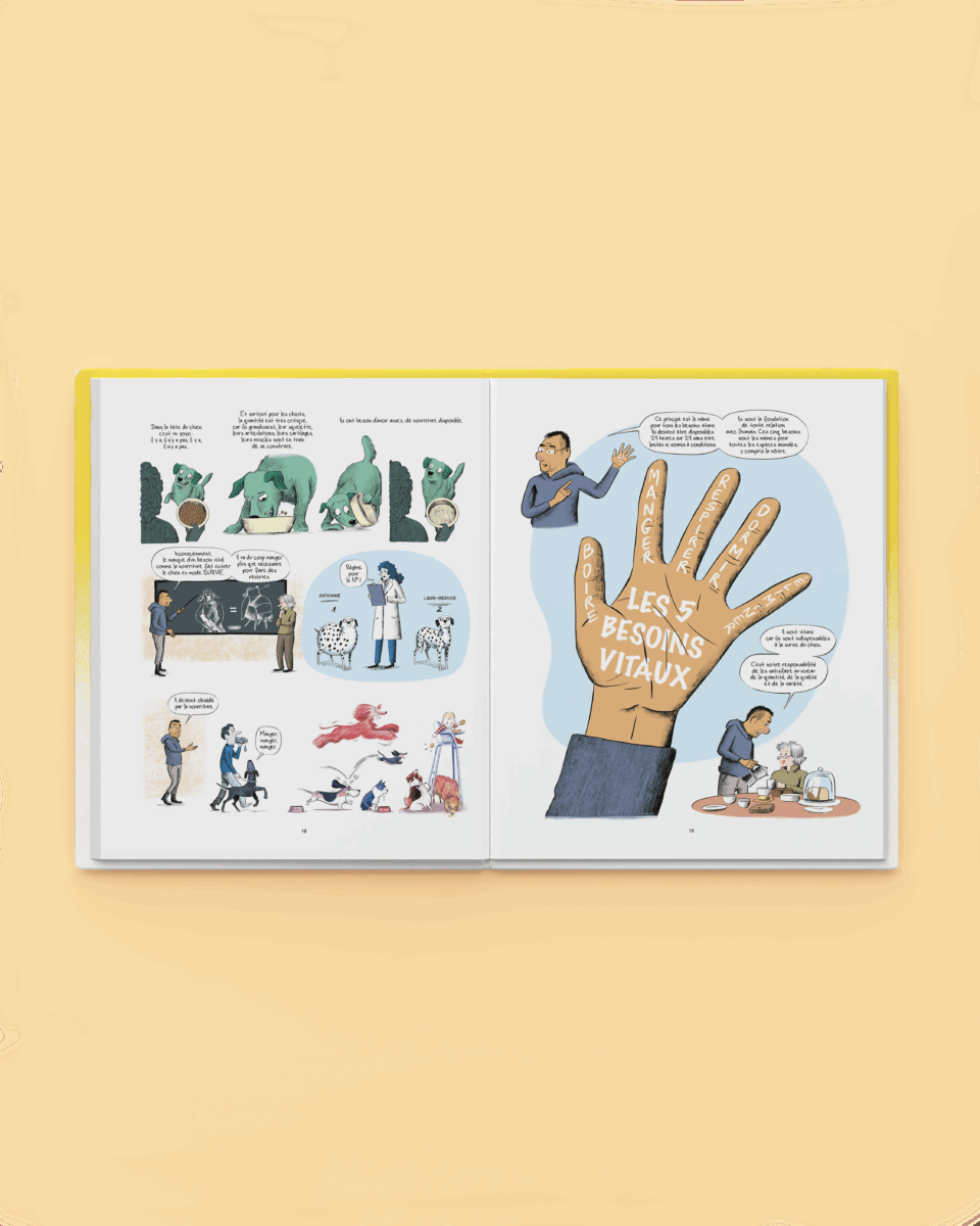 Couverture de Comprendre les chiens