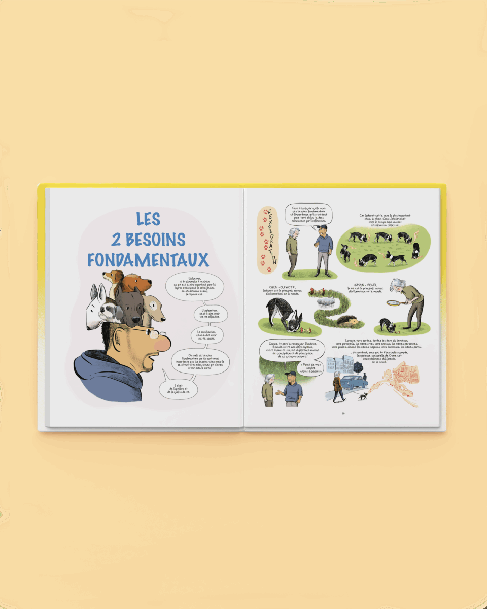 Couverture de Comprendre les chiens