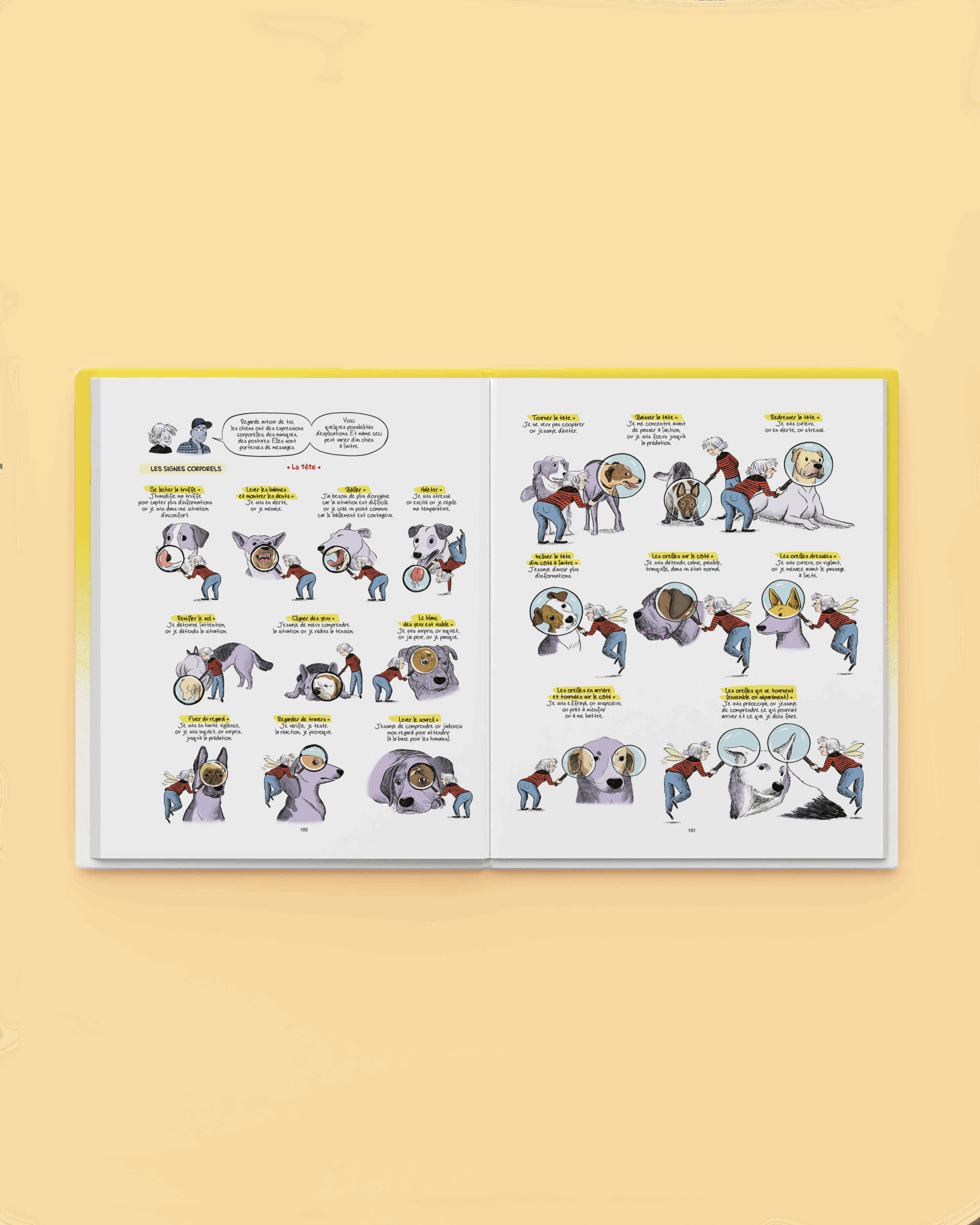 Couverture de Comprendre les chiens