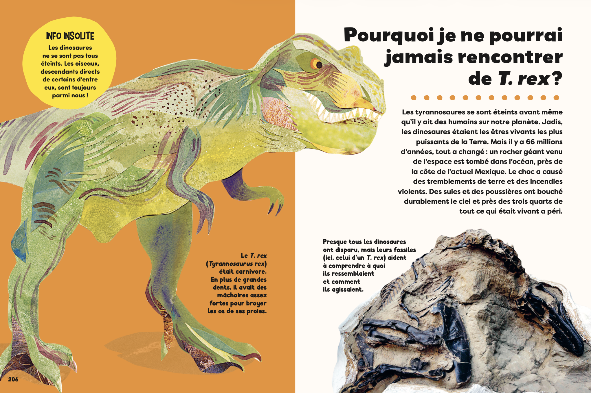 Le Grand Livre des pourquoi ?