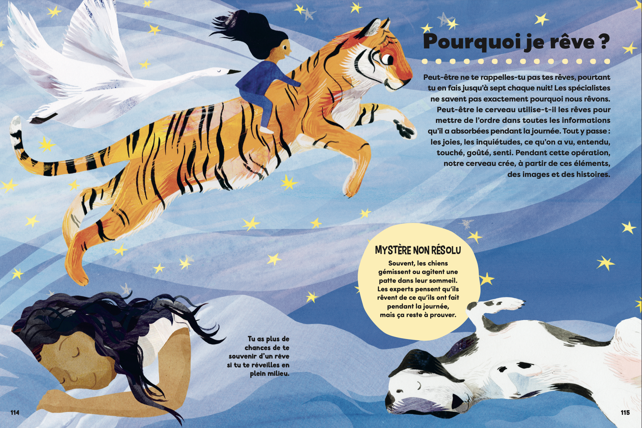 Le Grand Livre des pourquoi ?
