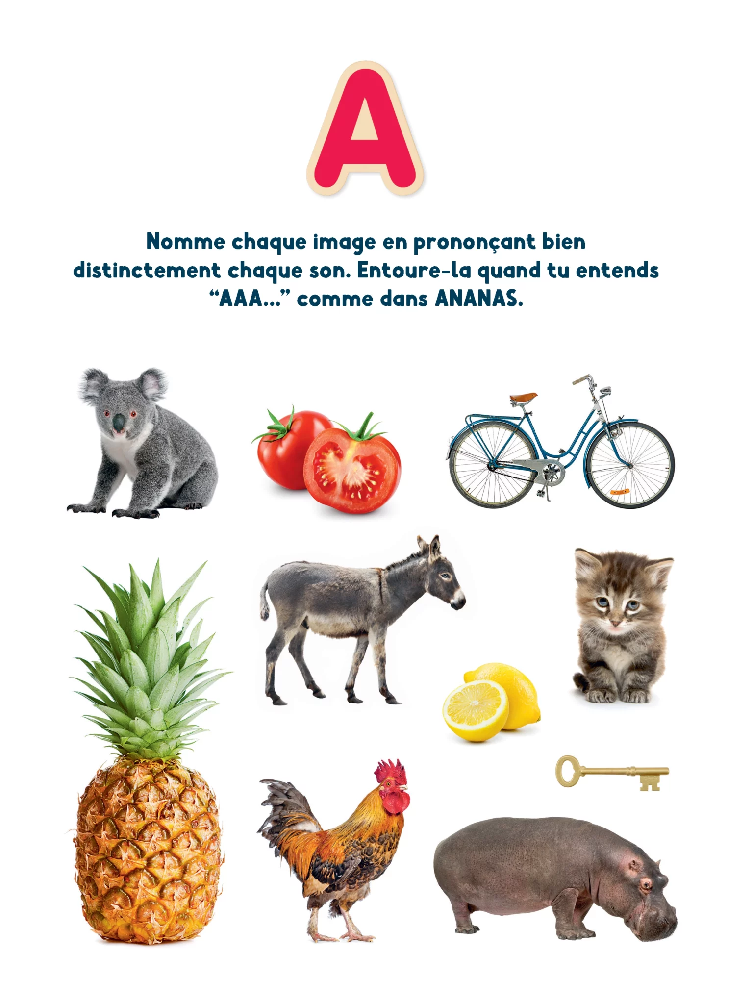 Je sais lire ! Le cahier d&rsquo;activités