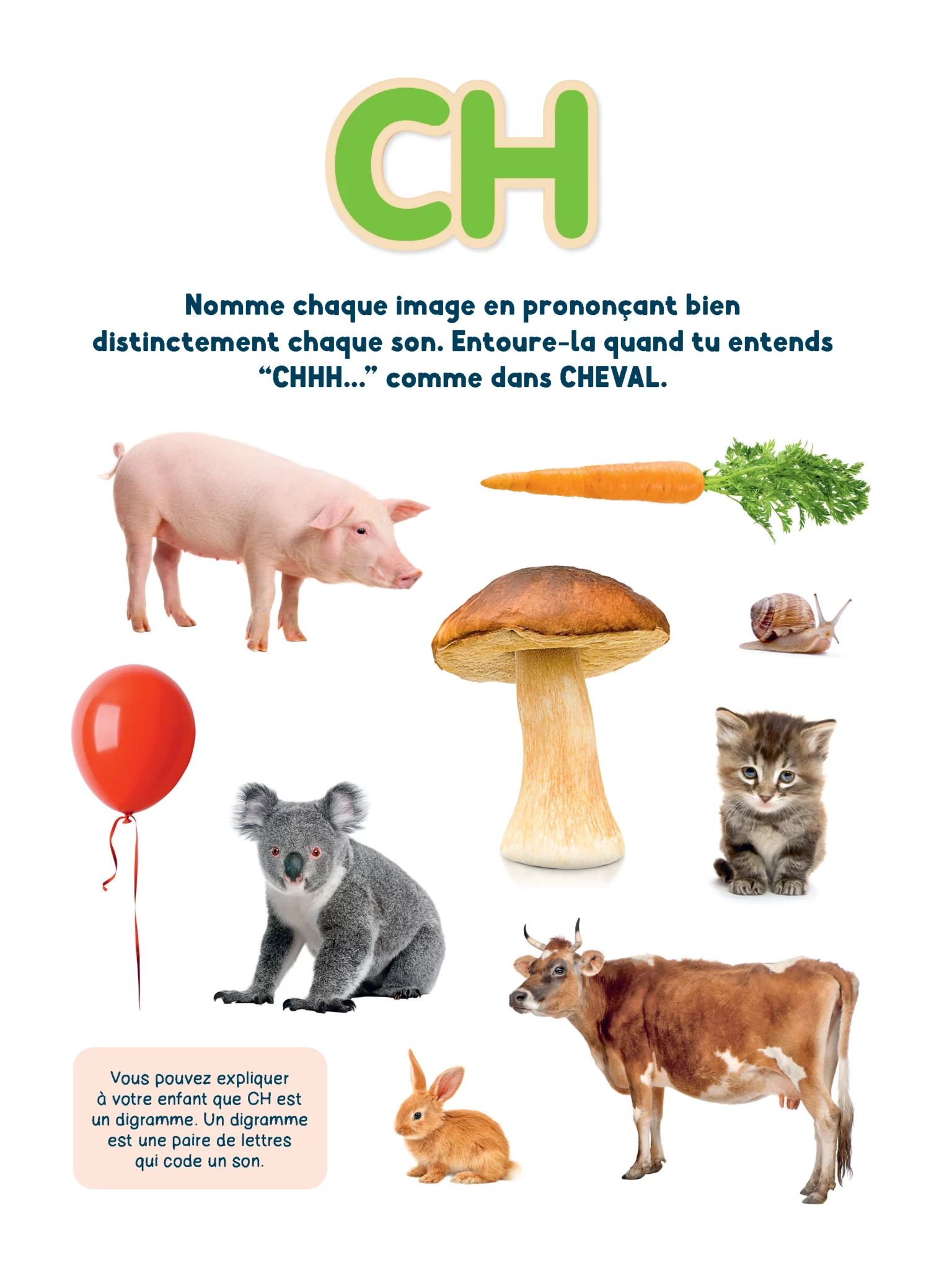 Je sais lire ! Le cahier d&rsquo;activités