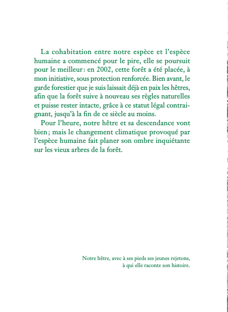 Autobiographie d&rsquo;un arbre