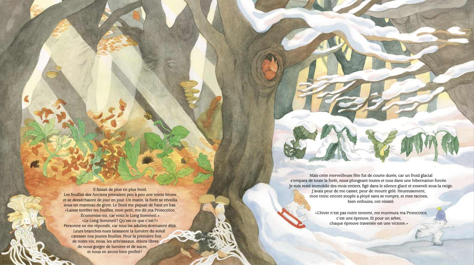 La vie secrète d&rsquo;un arbre