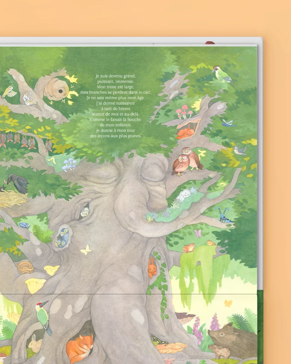 Couverture de La vie secrète d&rsquo;un arbre