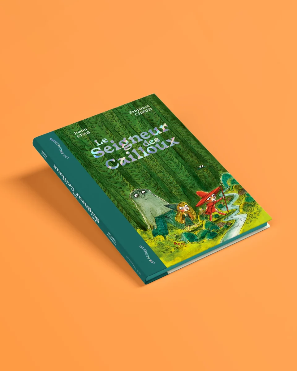 Couverture alternative de Le Seigneur des cailloux