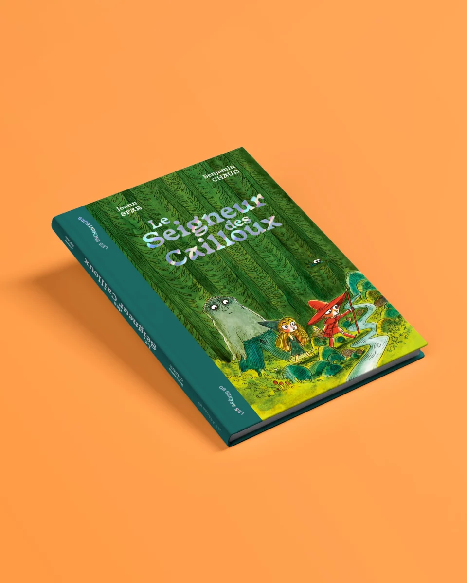 Couverture alternative de Le Seigneur des cailloux